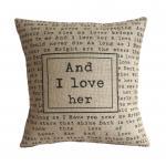 'and I Love Her' Pillow..