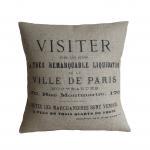 Ville De Paris Pillow Cover
